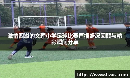 彩神vl购彩大厅