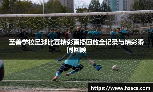 彩神vl购彩大厅